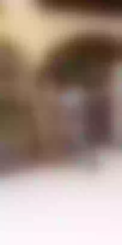 Live sex webcam photo for ArianithaaXoX #7335719