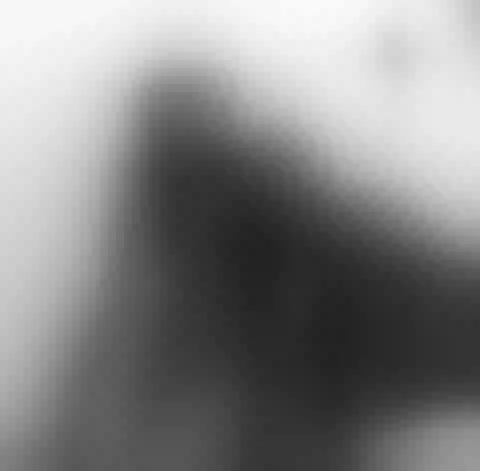 Live sex webcam photo for LeylaStars19 #7888856