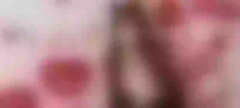 Live sex webcam photo for VictoriaColemann #7880969