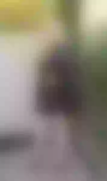Live sex webcam photo for ValleryVixen #7473271