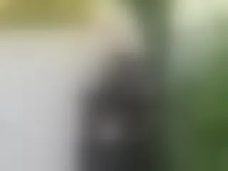 Live sex webcam photo for ValleryVixen #8245626
