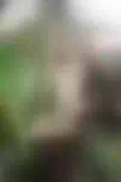 Live sex webcam photo for JulieDiamondGB #7783135