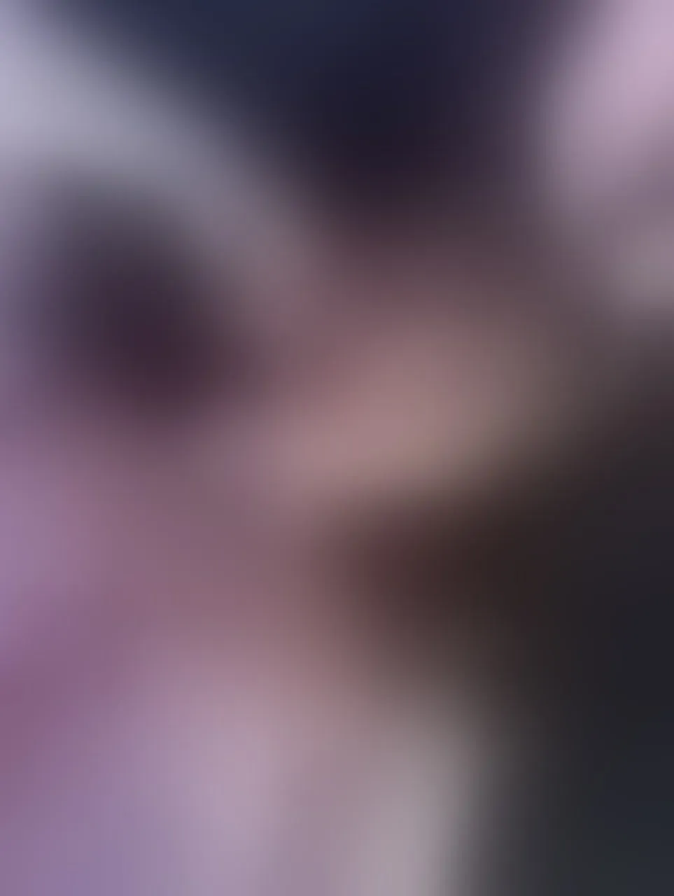 Live sex webcam photo for IvannaBellini019 #8627930