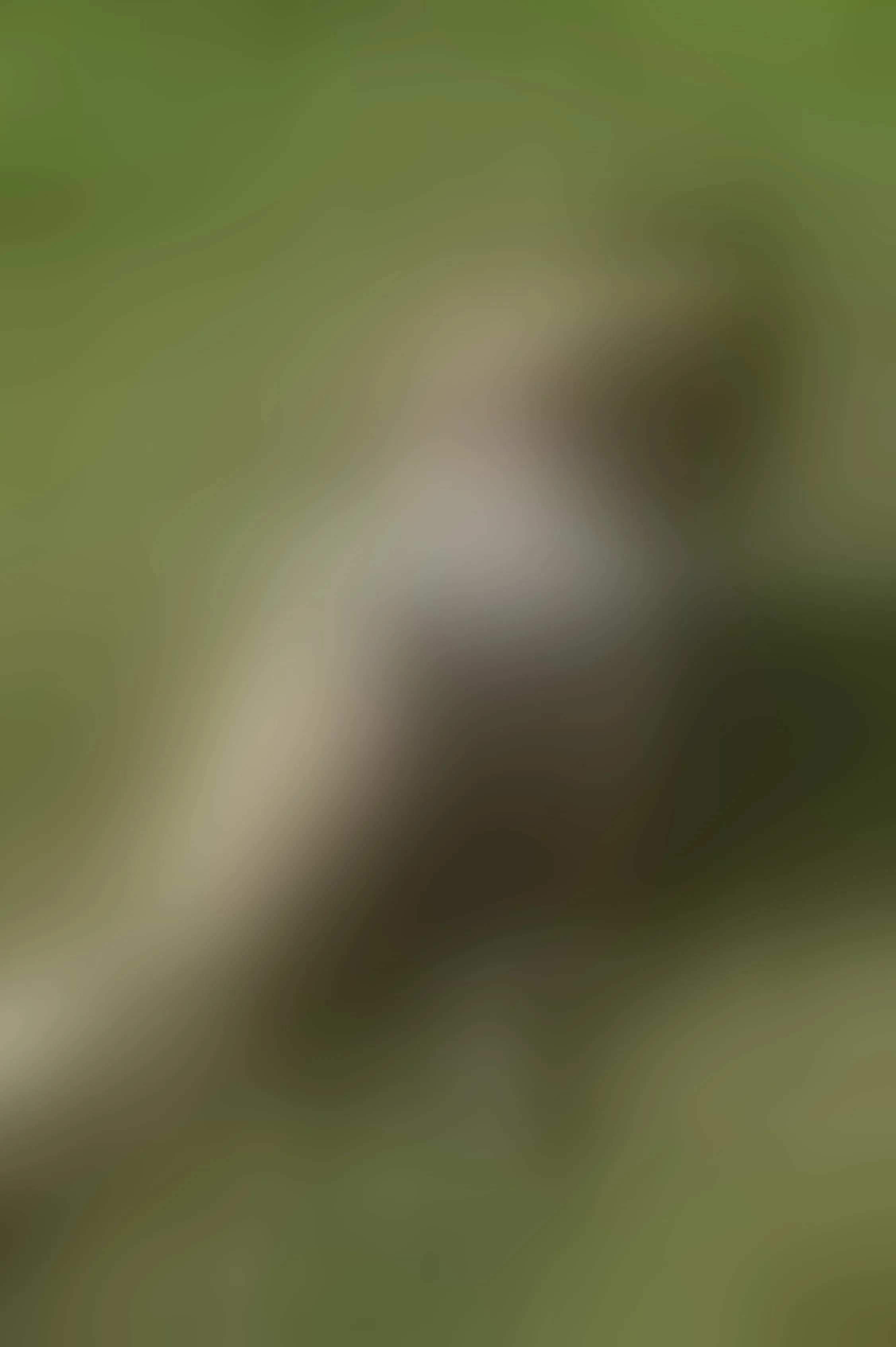 Live sex webcam photo for YennettSphinx #8289793