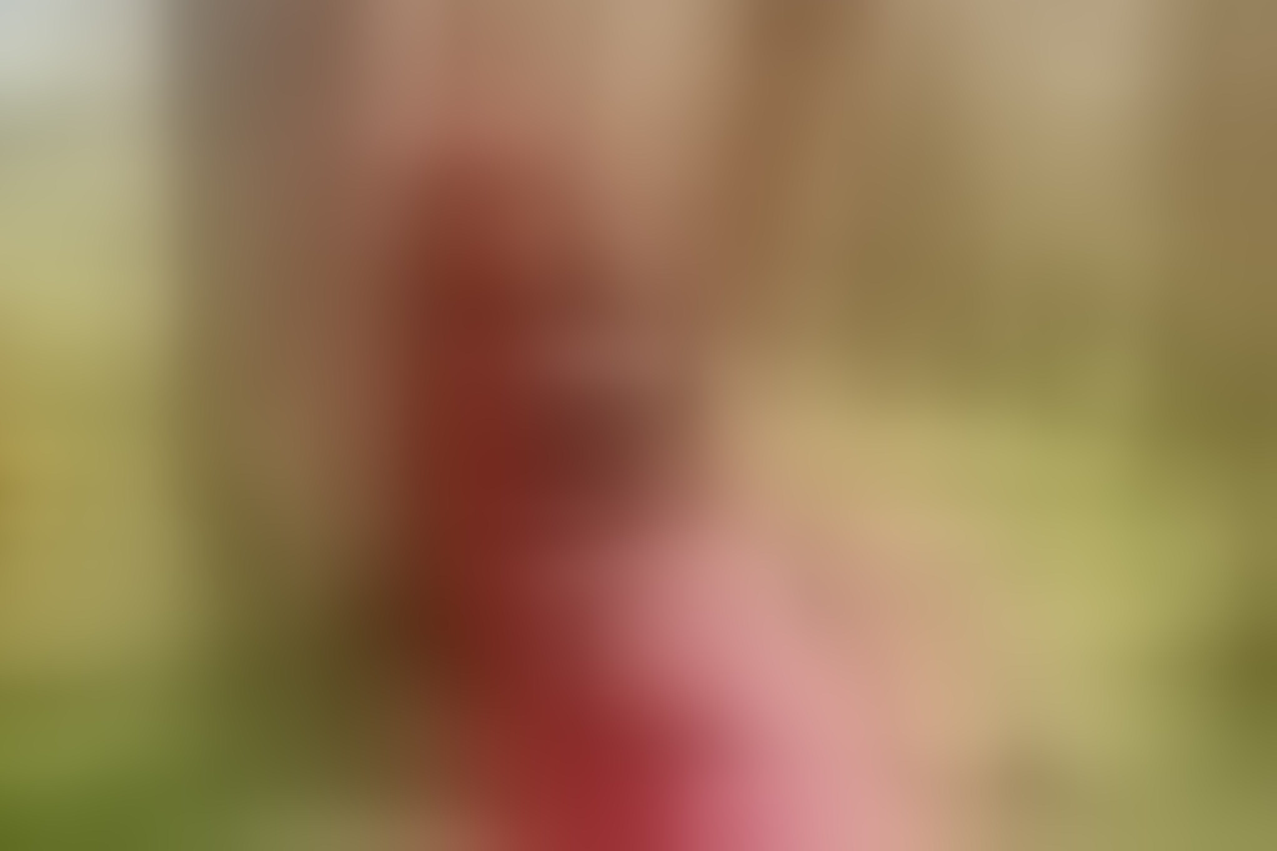 Live sex webcam photo for VictoriaField #7773277