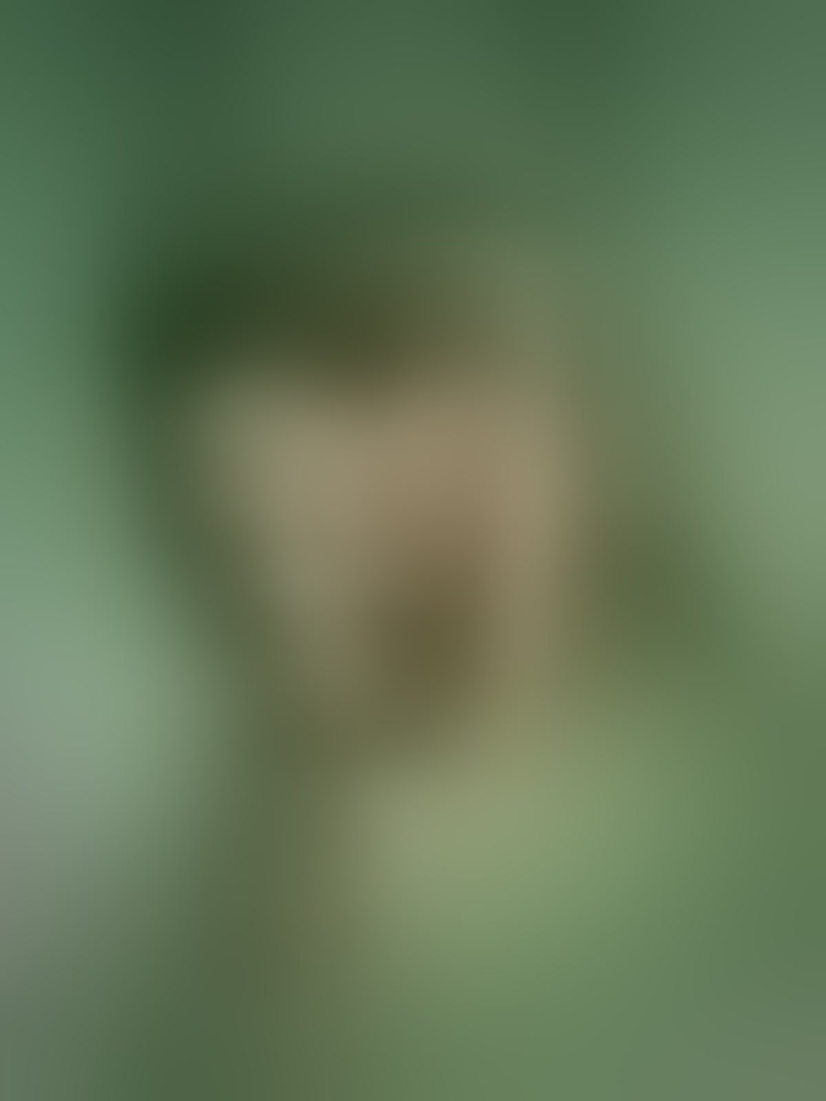 Live sex webcam photo for VenusCris #7864862