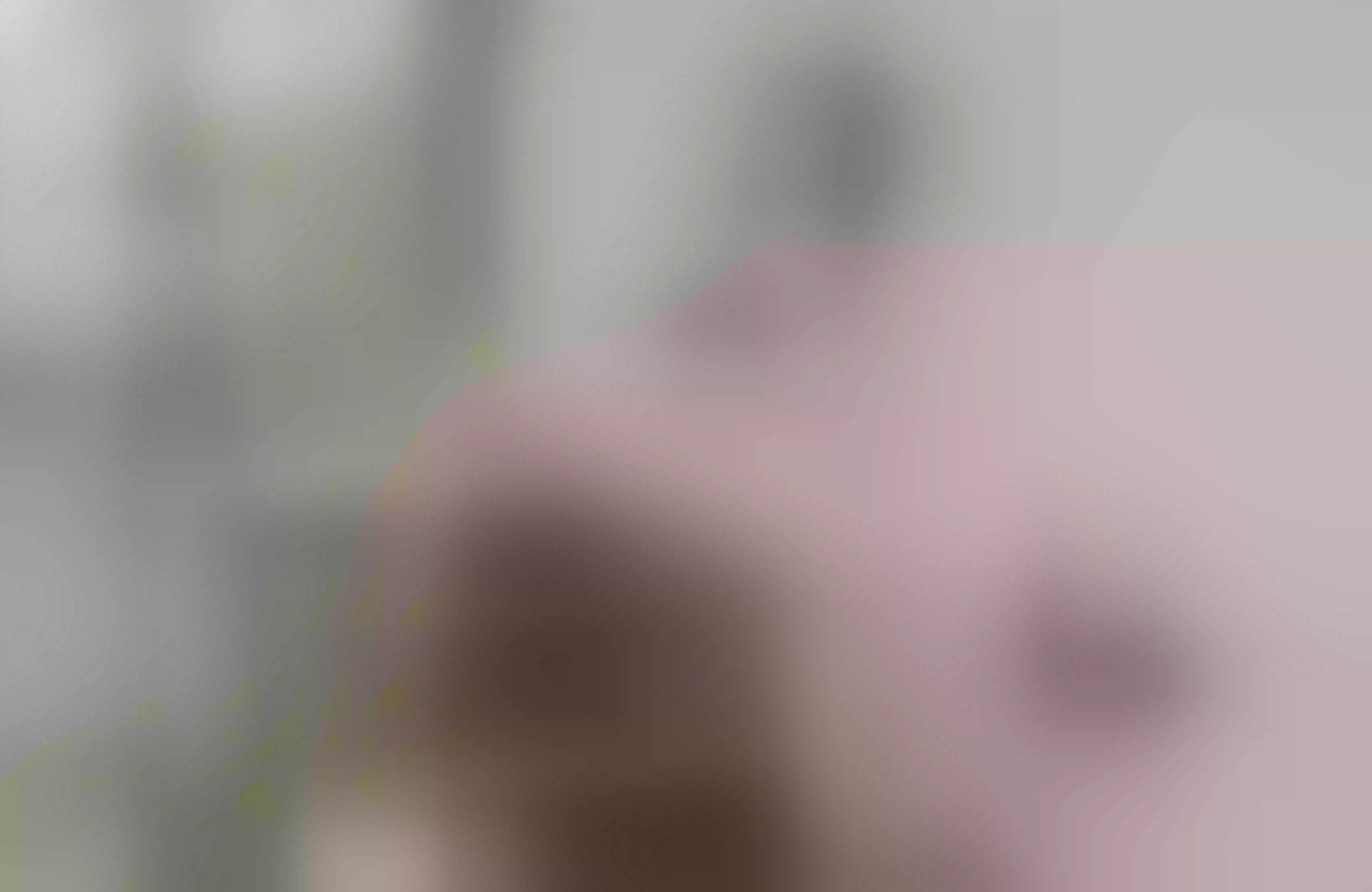 Live sex webcam photo for AlexaSalvator #8107799