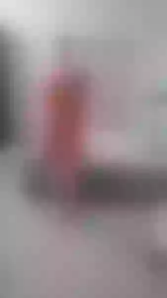 Live sex webcam photo for BigBoobsCassidy #7772065