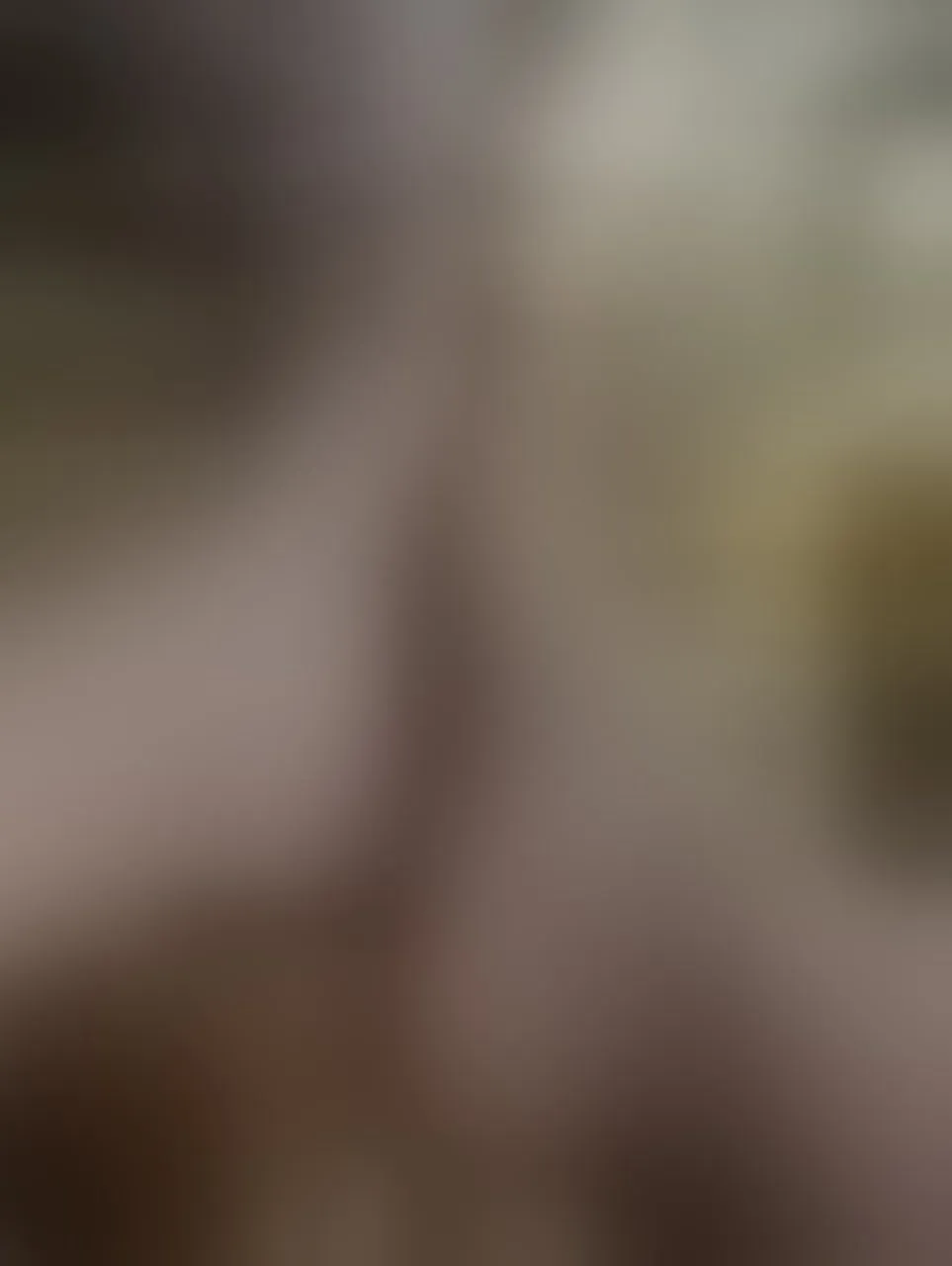 Live sex webcam photo for HannaSophiia #7813180