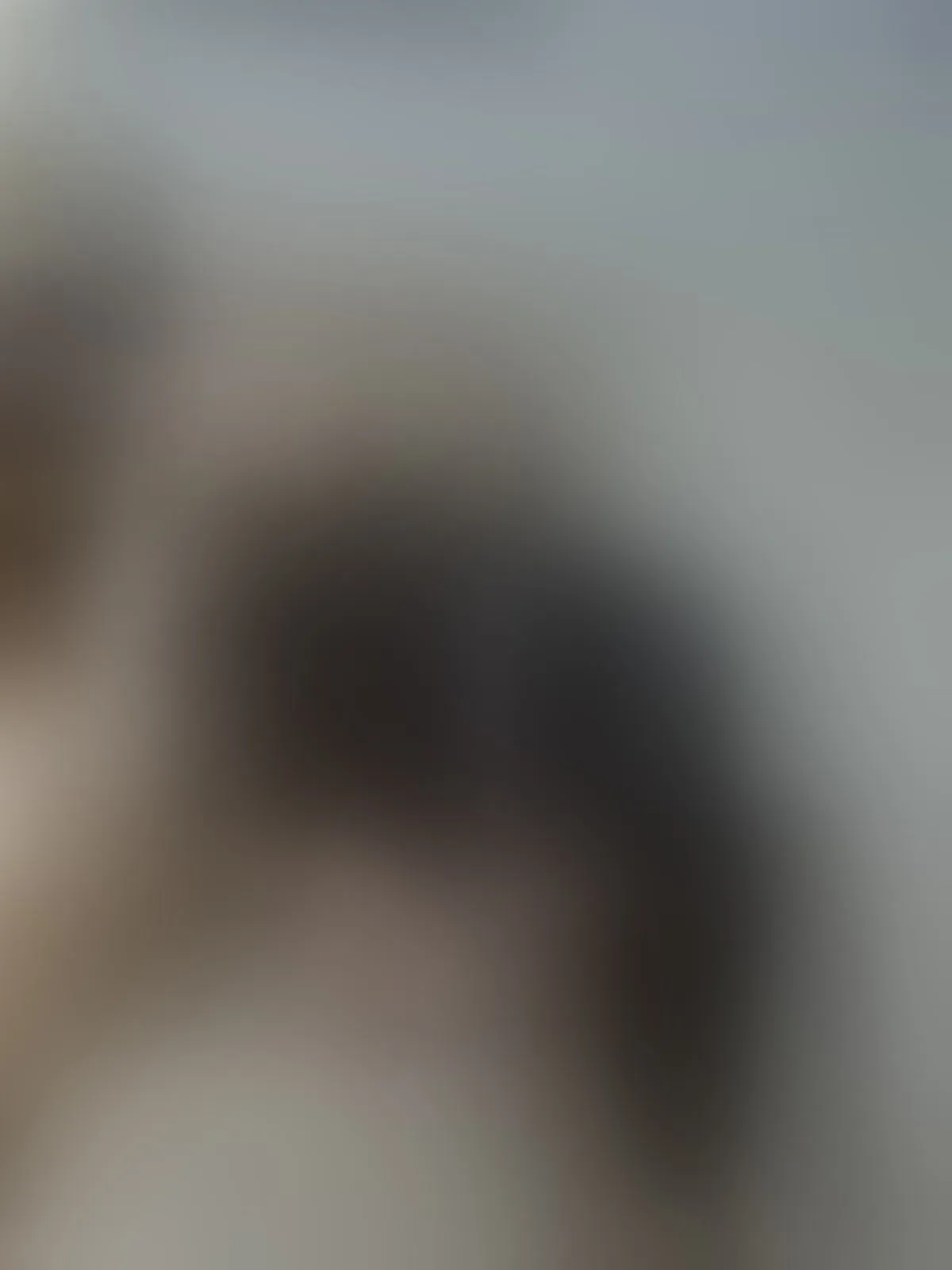 Live sex webcam photo for IvannaDoll4U #8418184