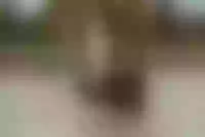 Live sex webcam photo for IsadiaRousso #8112254
