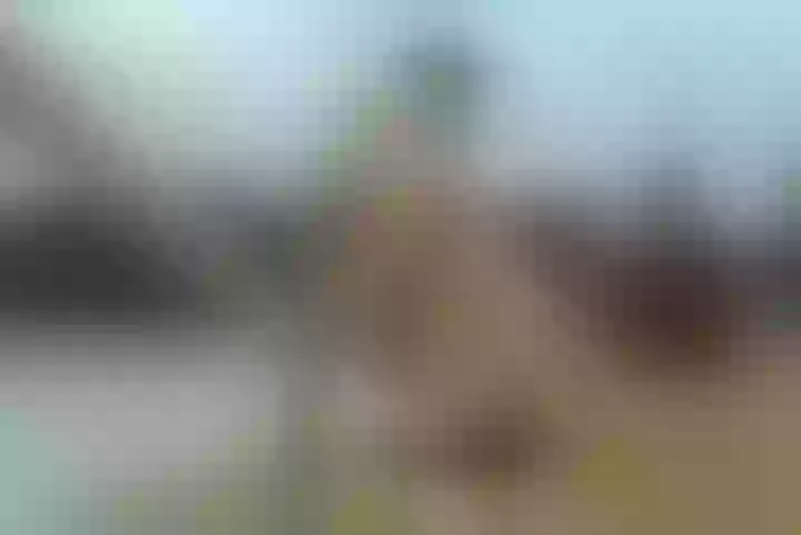 Live sex webcam photo for IsadiaRousso #8112255