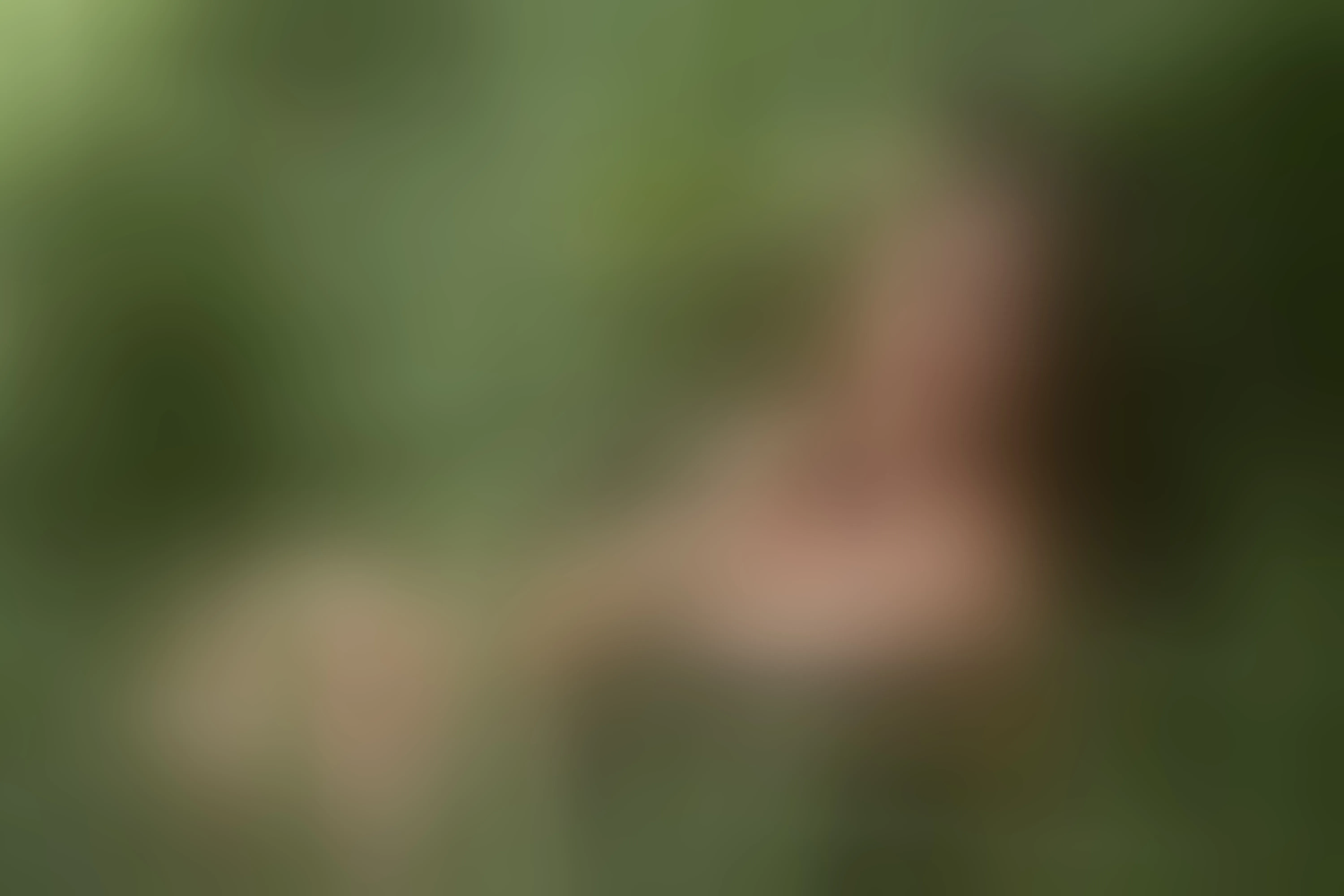 Live sex webcam photo for TaylorAdaams #7902013