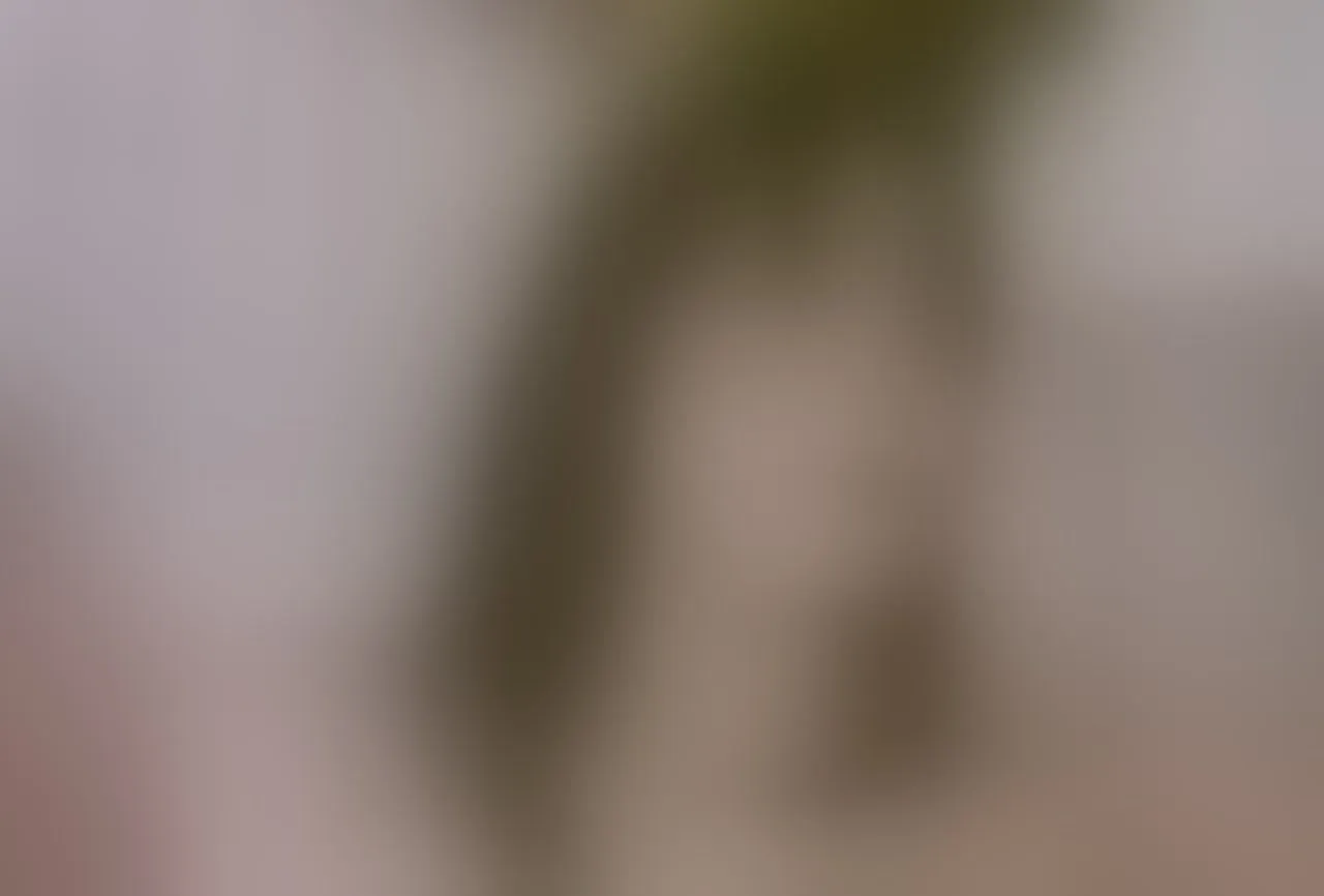 Live sex webcam photo for Doyeon_Dae #6615595