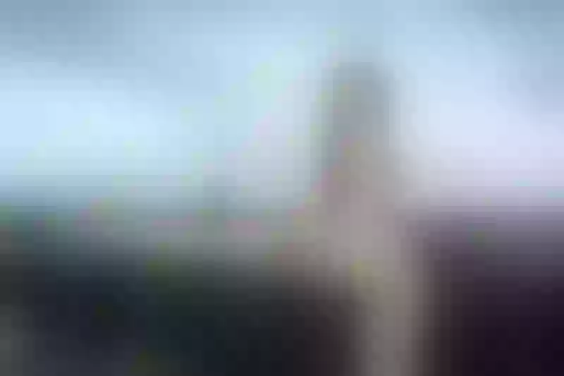 Live sex webcam photo for CristalHank #7309964