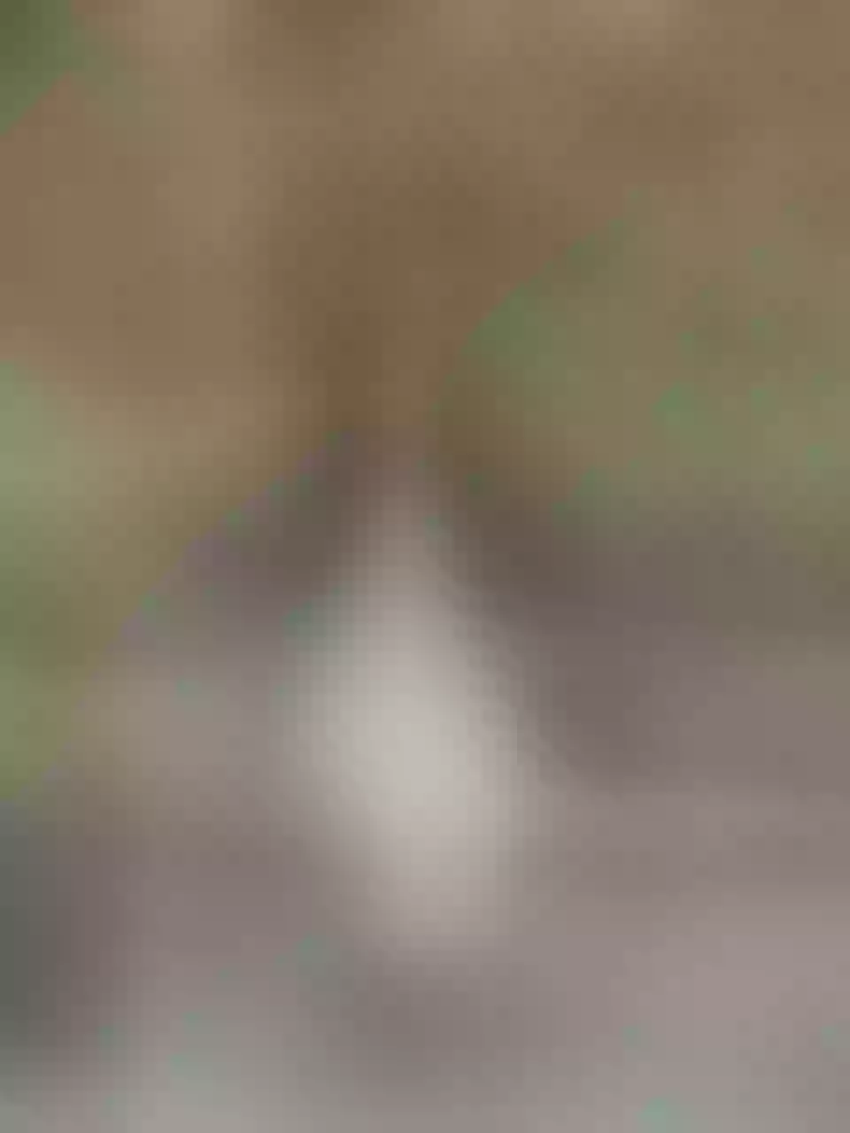 Live sex webcam photo for BellaPorch #7944507