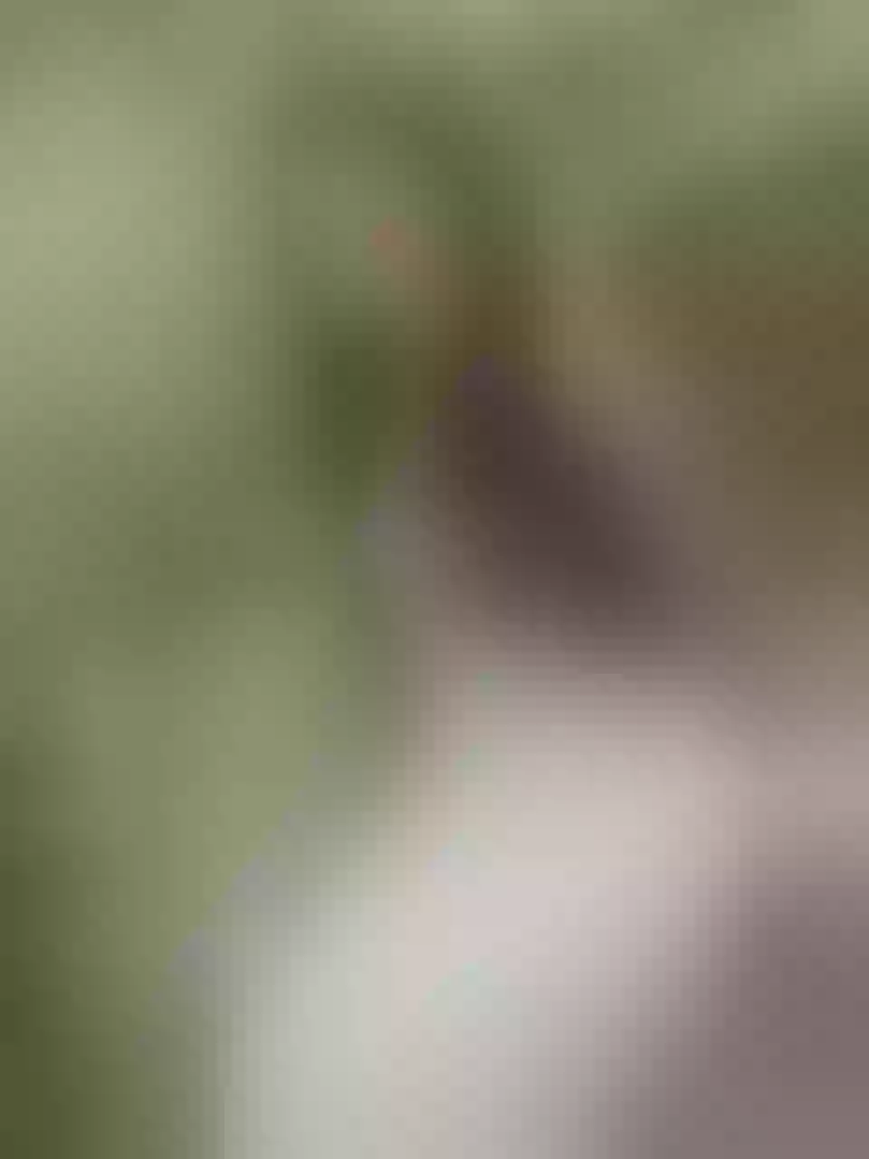 Live sex webcam photo for BellaPorch #7944506