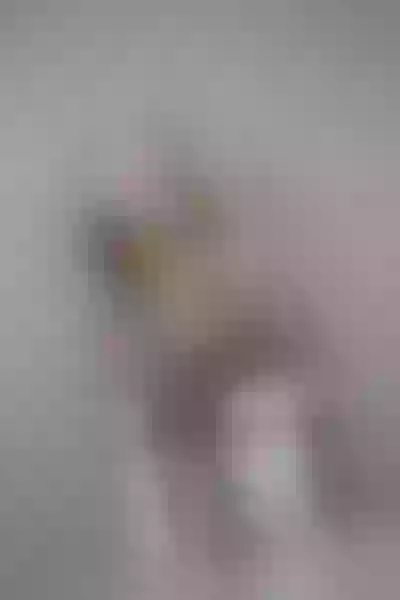 Live sex webcam photo for honey_yani #7379200