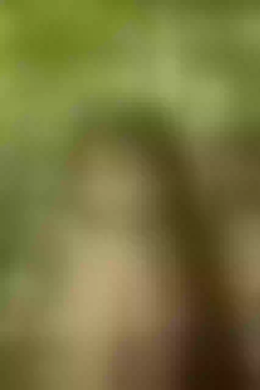 Live sex webcam photo for AngellaDevi #7116756