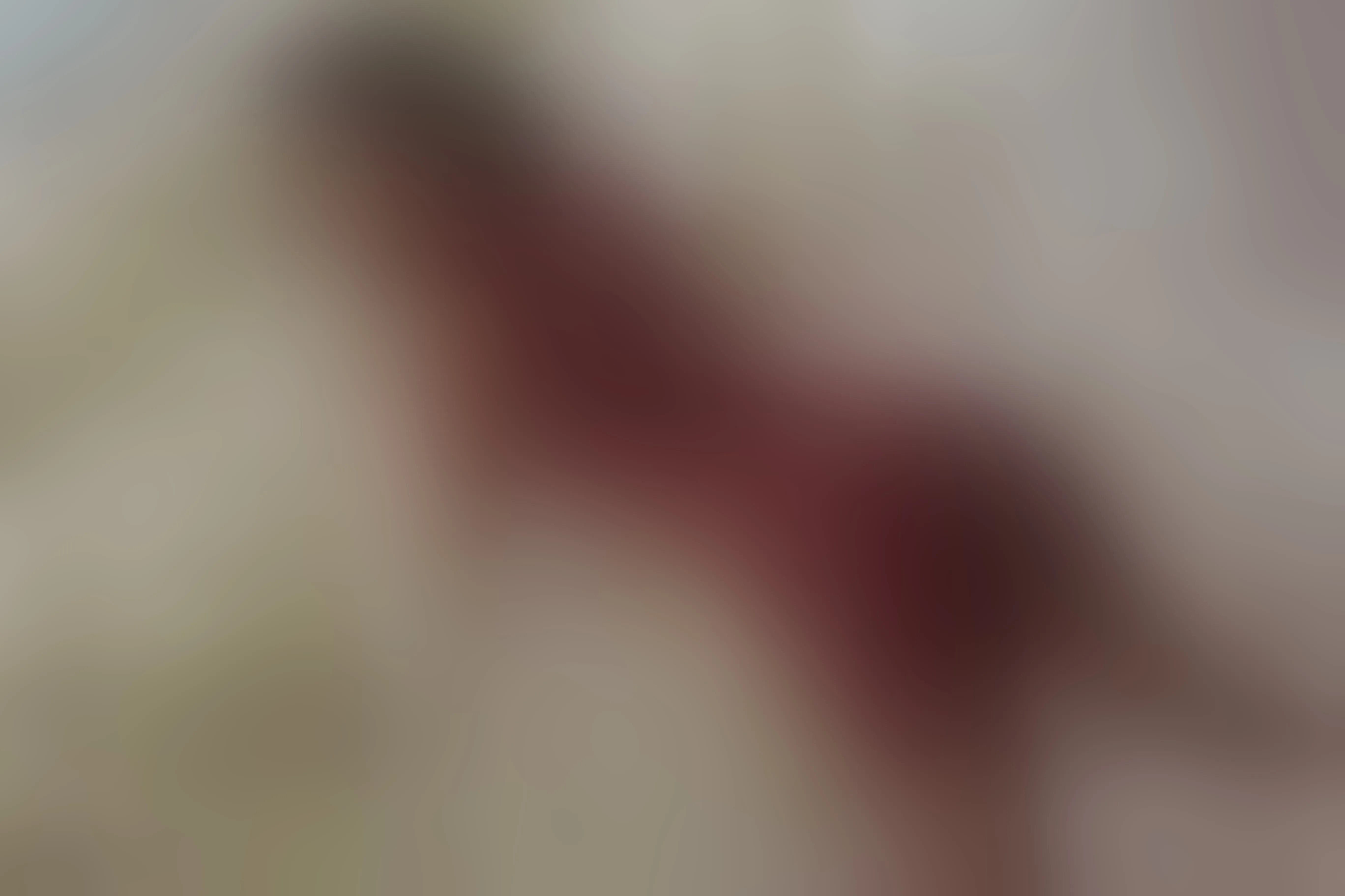 Live sex webcam photo for TiianaGlow #8309419