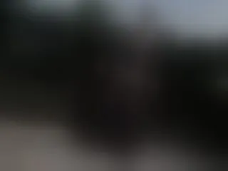 Live sex webcam photo for SoftAdellee #8433814