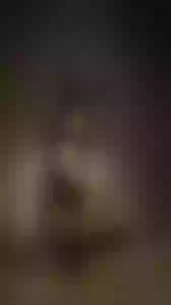 Live sex webcam photo for Nyxnayla #7295698