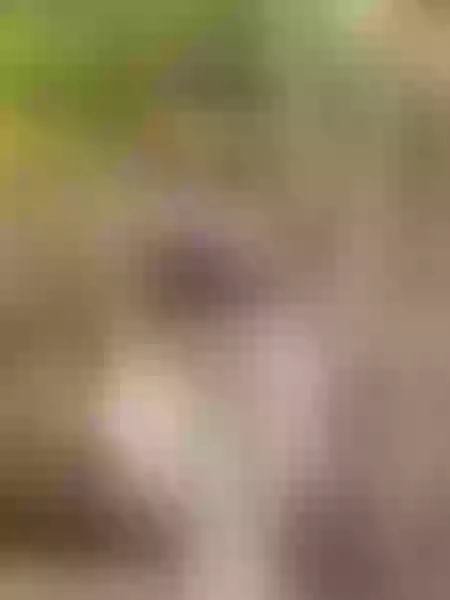 Live sex webcam photo for KataMajana #7436835