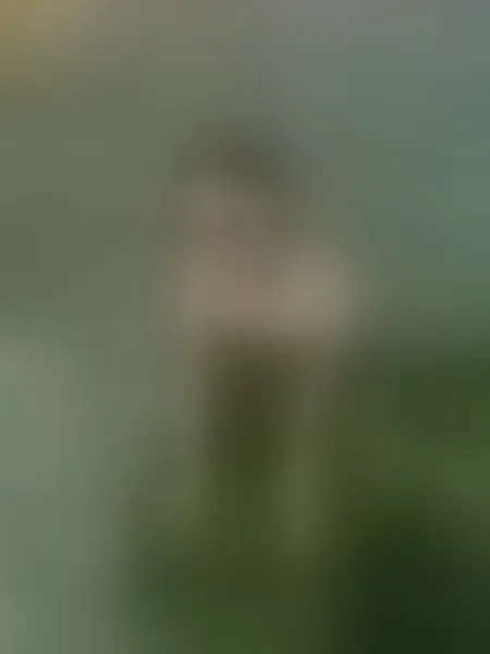 Live sex webcam photo for LinaBrixcx #7302732