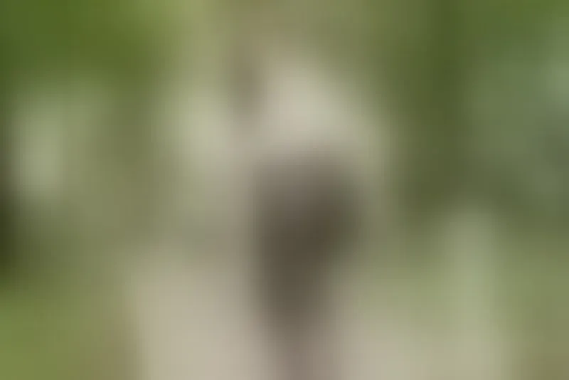 Live sex webcam photo for StepMomNextDoor #7776254