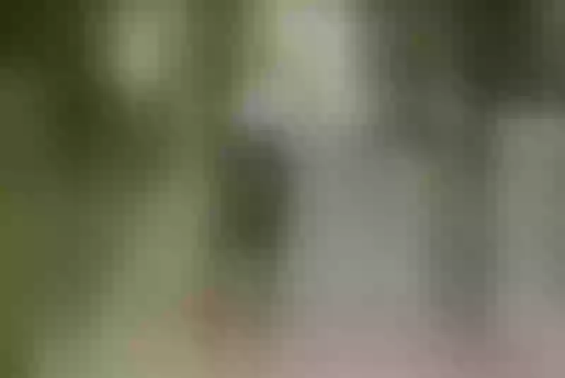 Live sex webcam photo for StepMomNextDoor #7776253