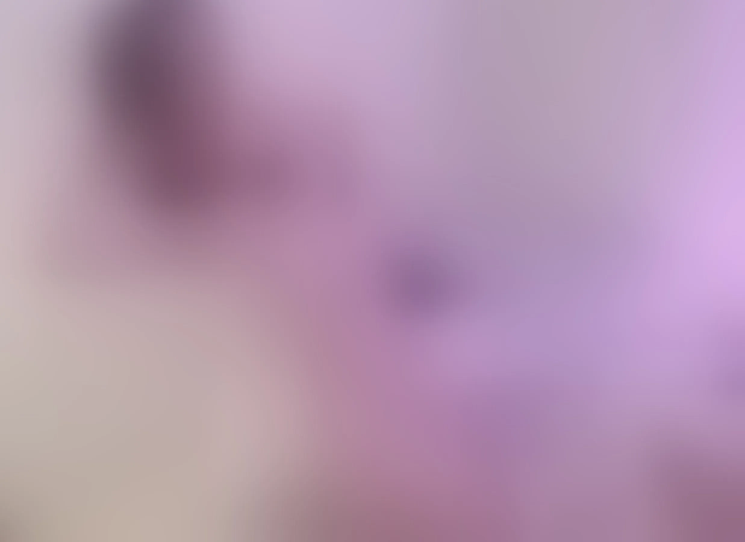 Live sex webcam photo for Salome24 #8336932