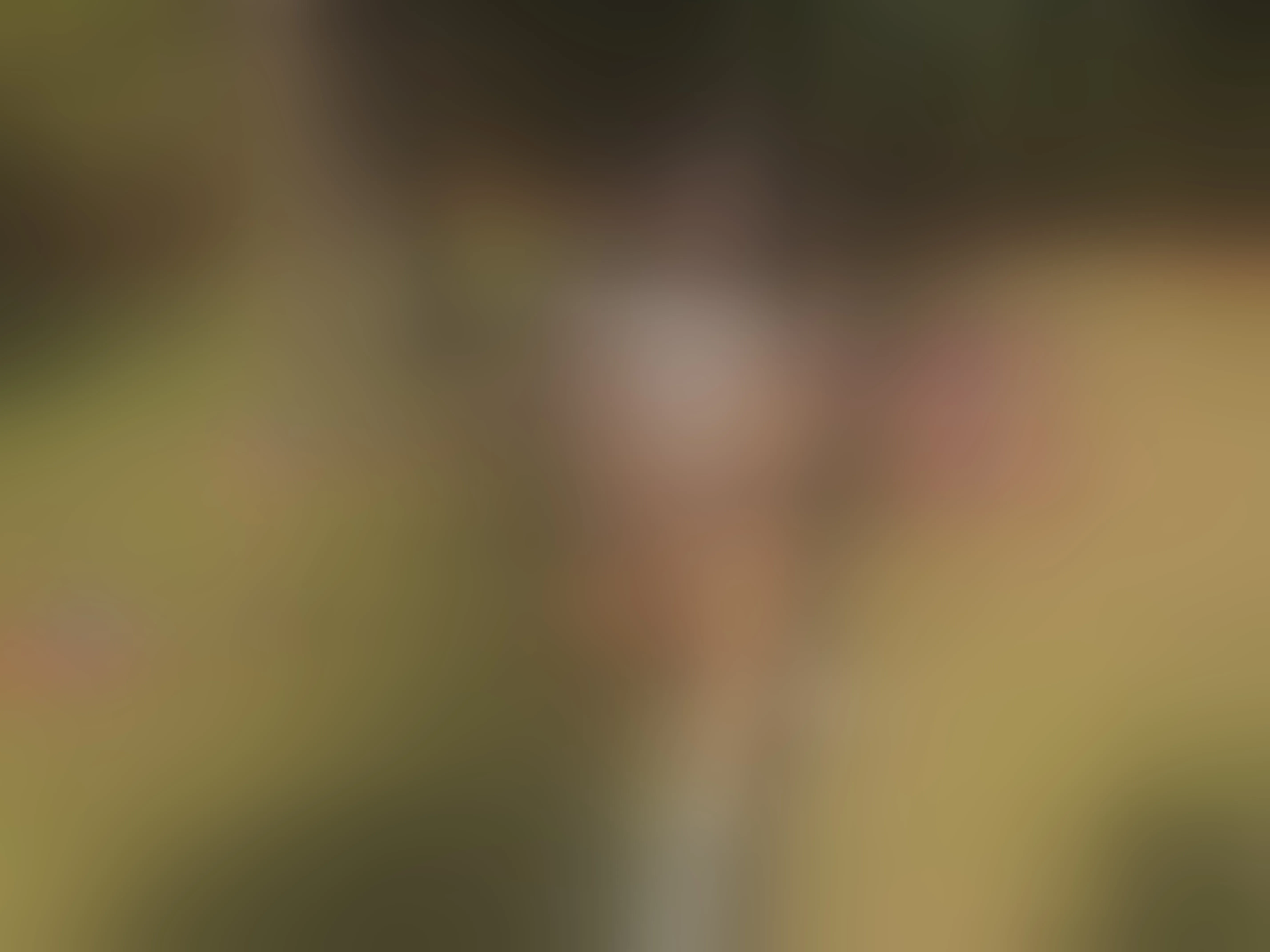 Live sex webcam photo for Alysonaa #8590071