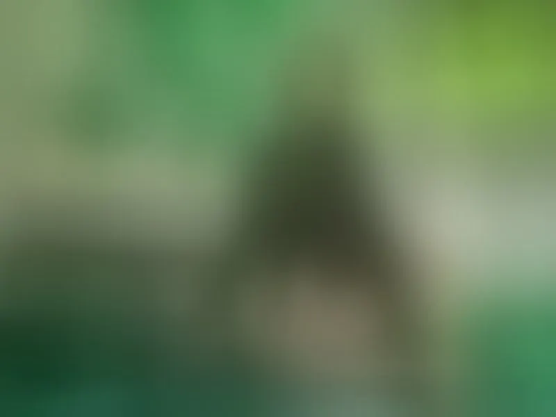 Live sex webcam photo for Alysonaa #7851971