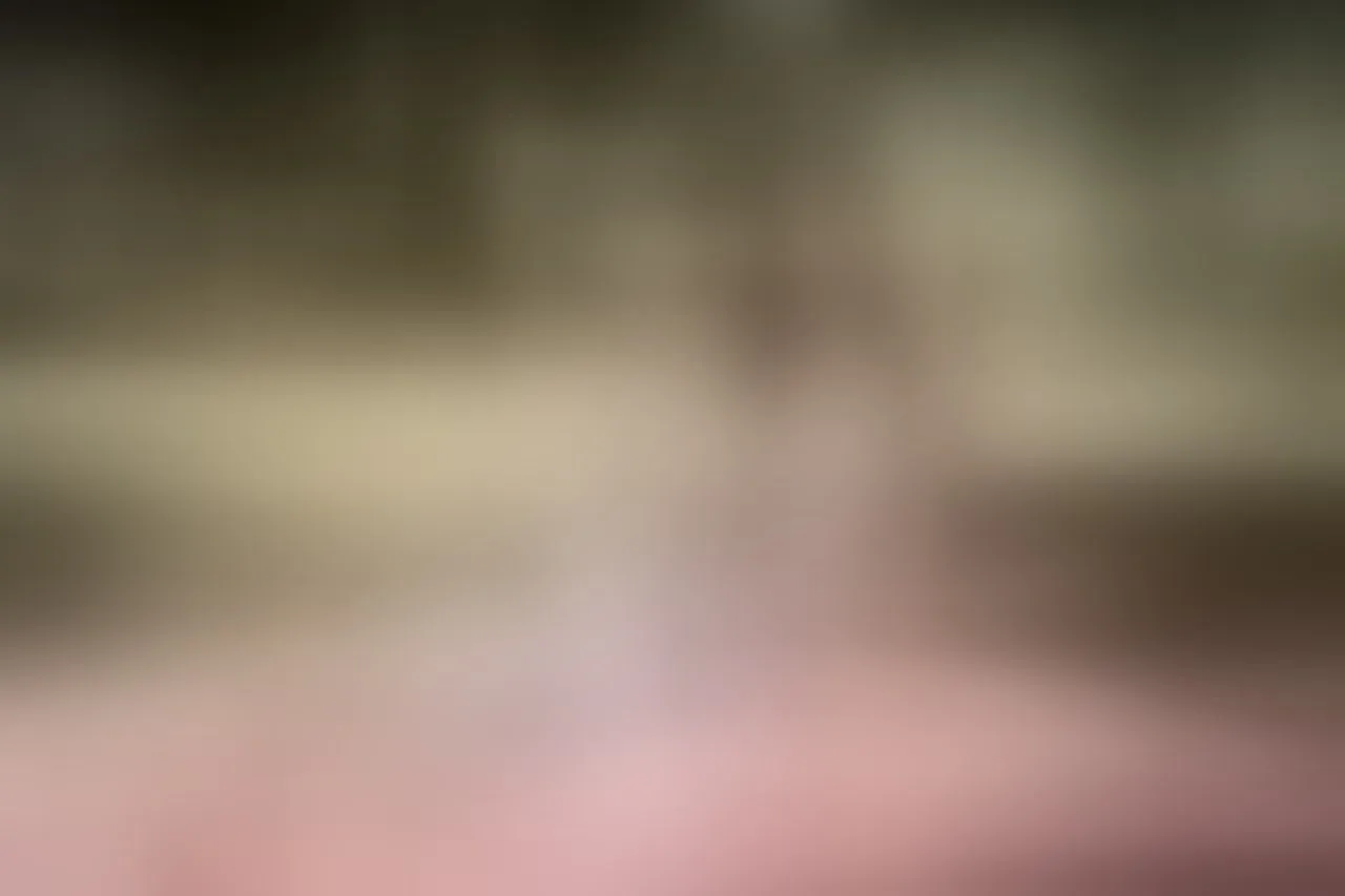 Live sex webcam photo for IsabellaQueens #8447948