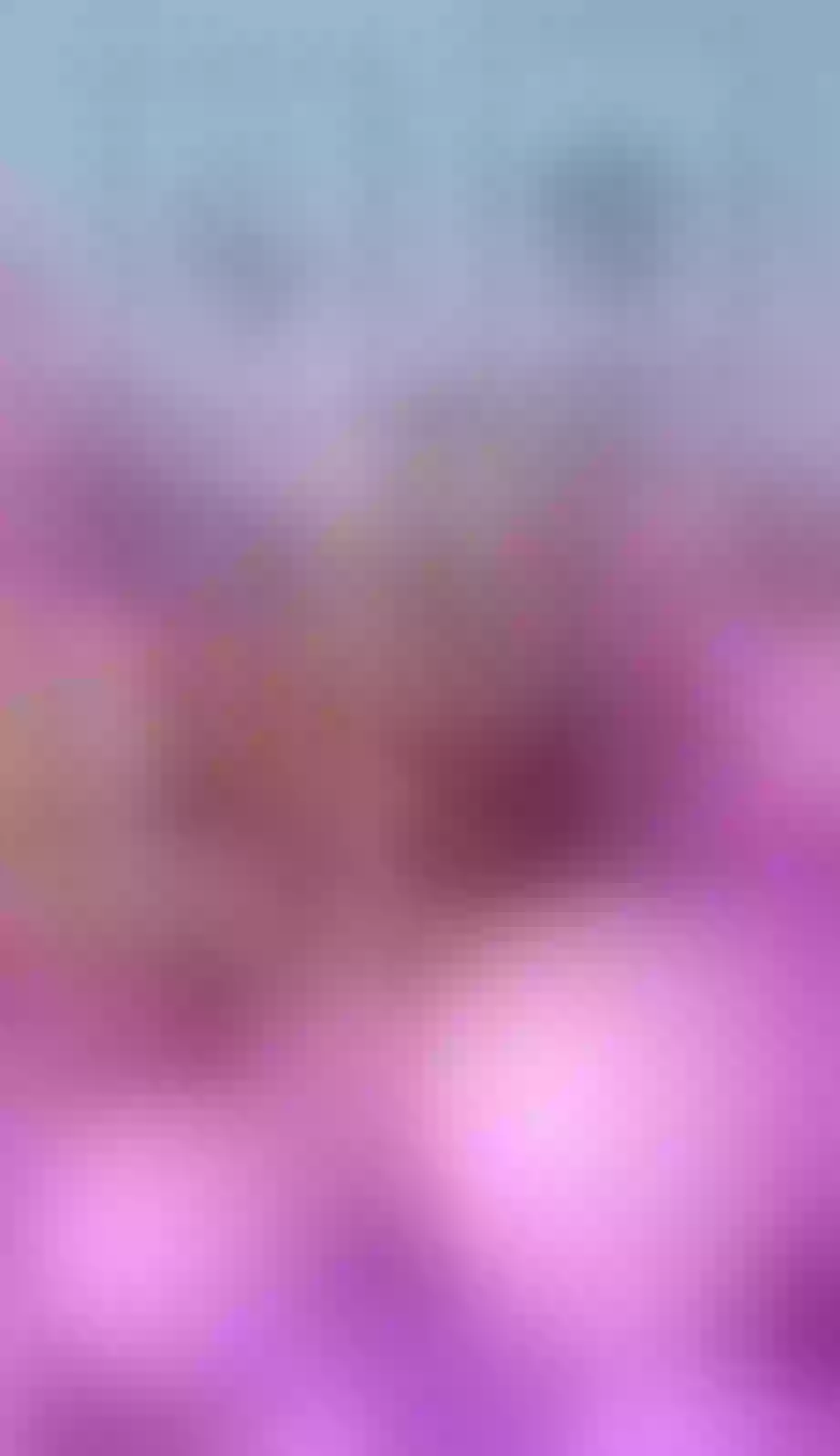 Live sex webcam photo for SavanahLinn #7983064