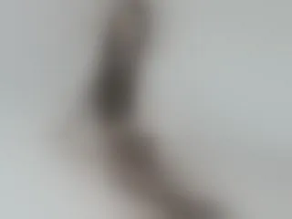 Live sex webcam photo for Sunbeammm #7759633