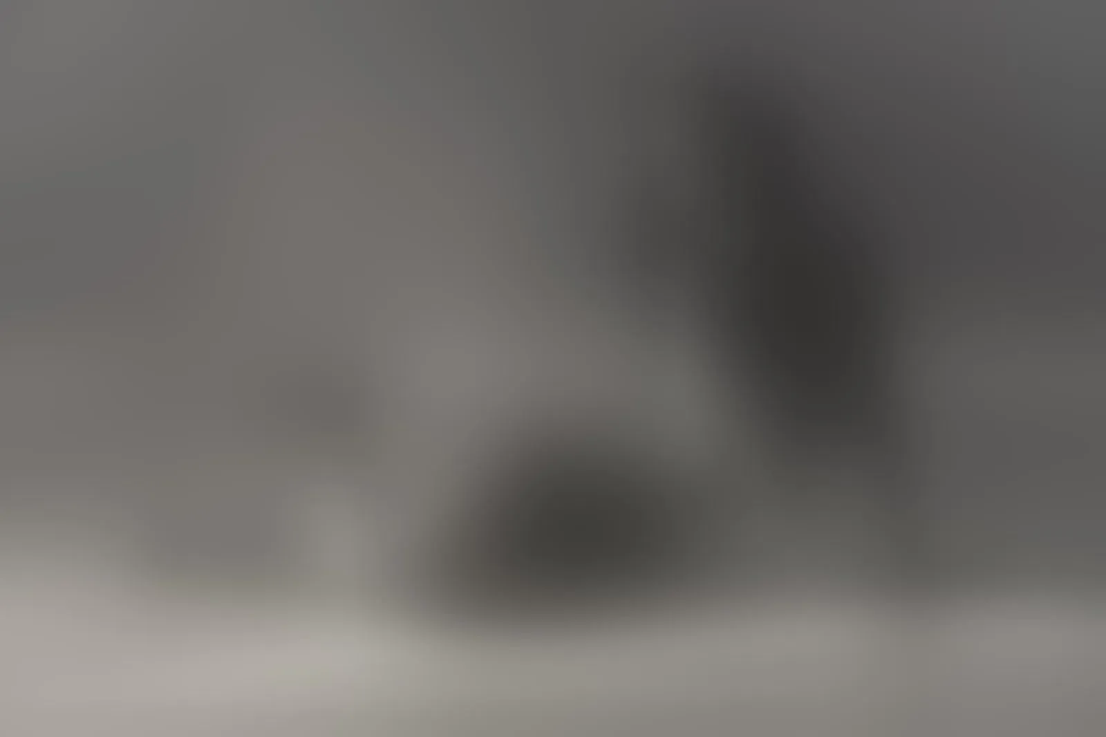 Live sex webcam photo for Alexaheyess #7897268