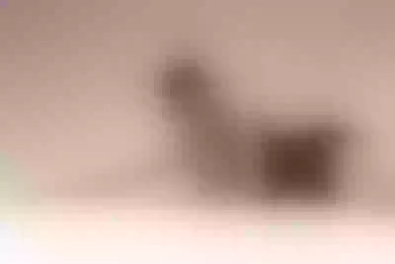 Live sex webcam photo for LyonGallego #7401366