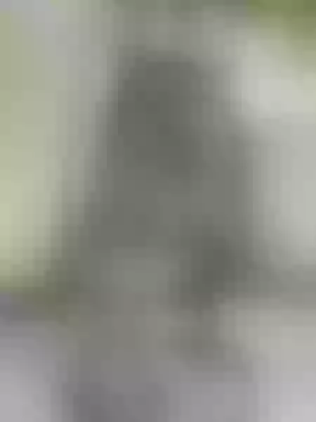Live sex webcam photo for InesFitnes #7128100