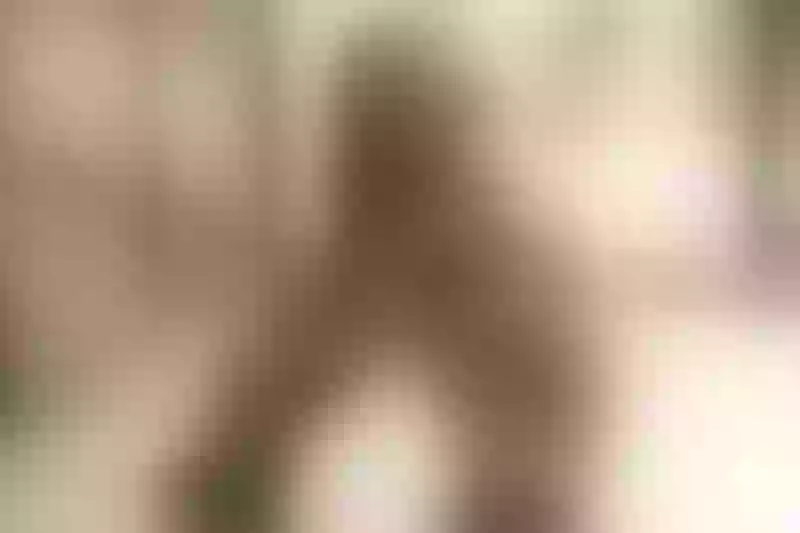 Live sex webcam photo for AliceLujan #7198425