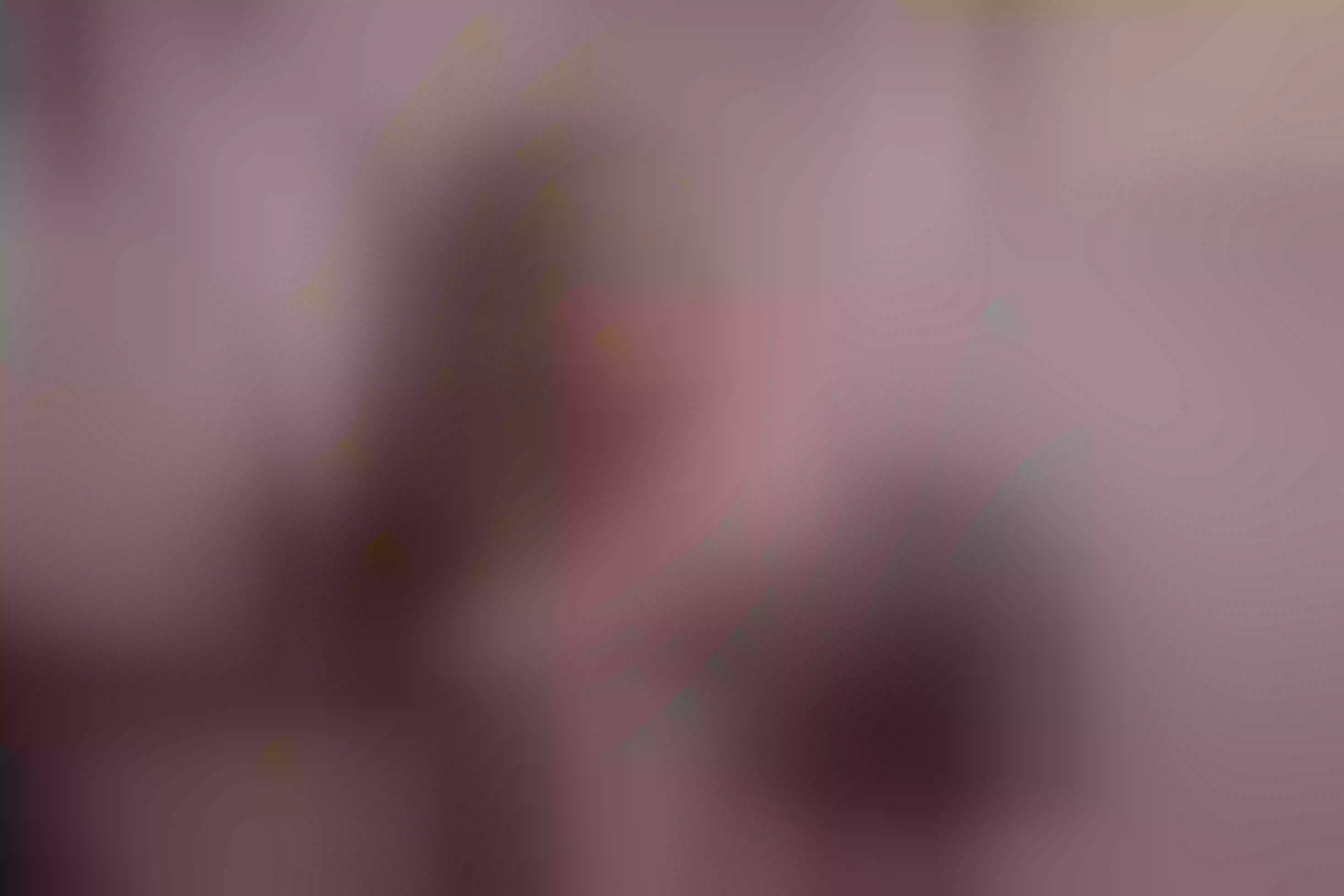 Live sex webcam photo for ViiolettaMora #7811330