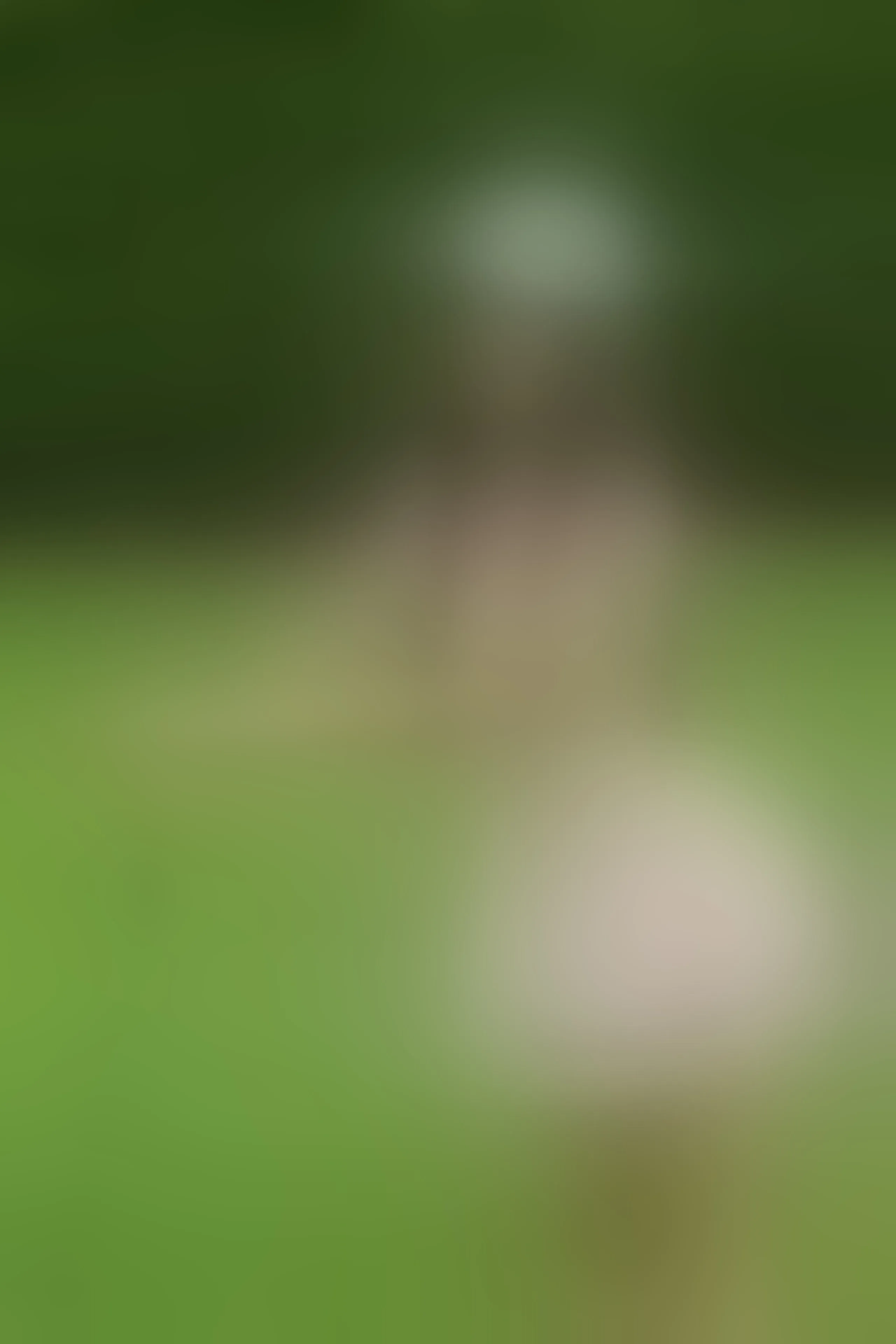 Live sex webcam photo for LyennRae #8520033