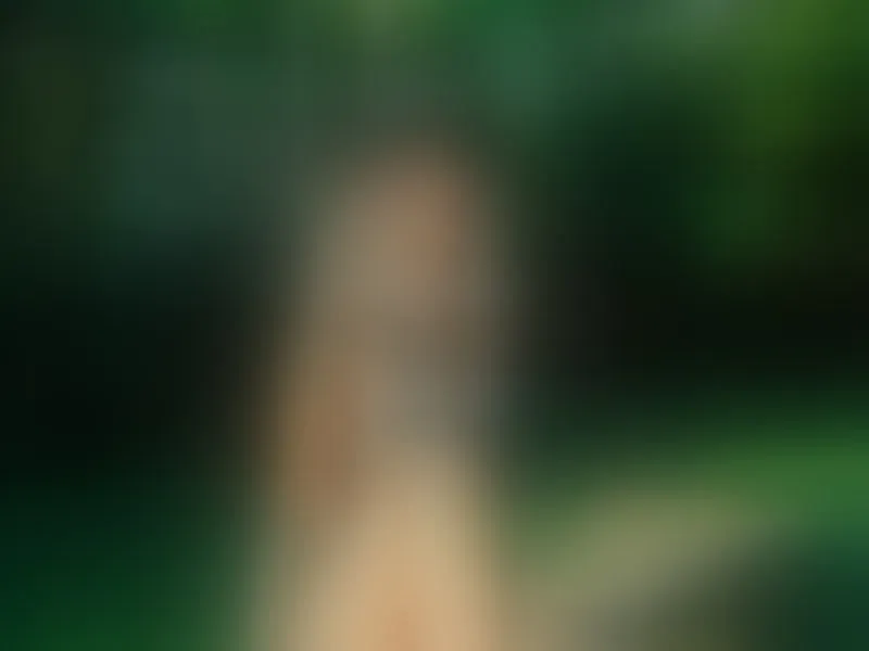 Live sex webcam photo for SamyShark21 #7866882