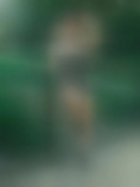 Live sex webcam photo for SamyShark21 #7866877