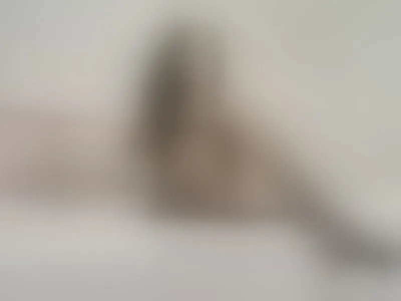 Live sex webcam photo for Zoe_Gruber #7355256
