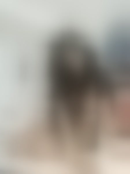 Live sex webcam photo for Zoe_Gruber #7355537