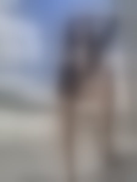 Live sex webcam photo for Zoe_Gruber #7355443