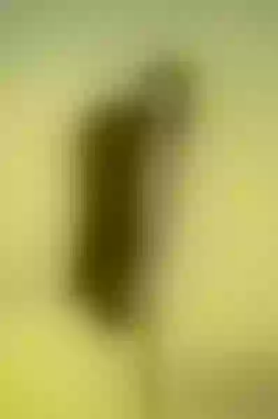 Live sex webcam photo for Enigma_Beauty #7873395