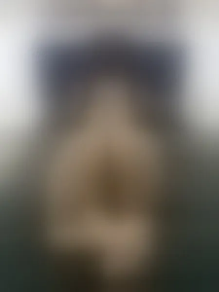 Live sex webcam photo for CamileMoon #8012278