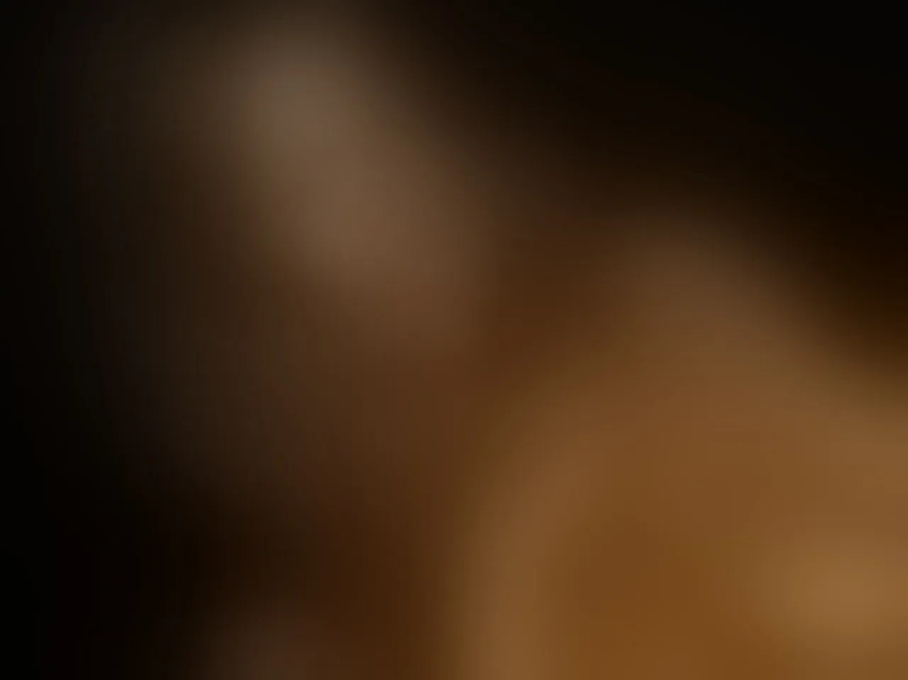 Live sex webcam photo for SophiaPotts #8088667